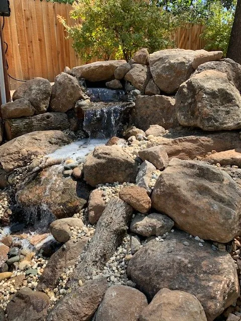 Trusted landscape design for beautiful yards in Rocklin, CA by Fish Landscape & Maintenance