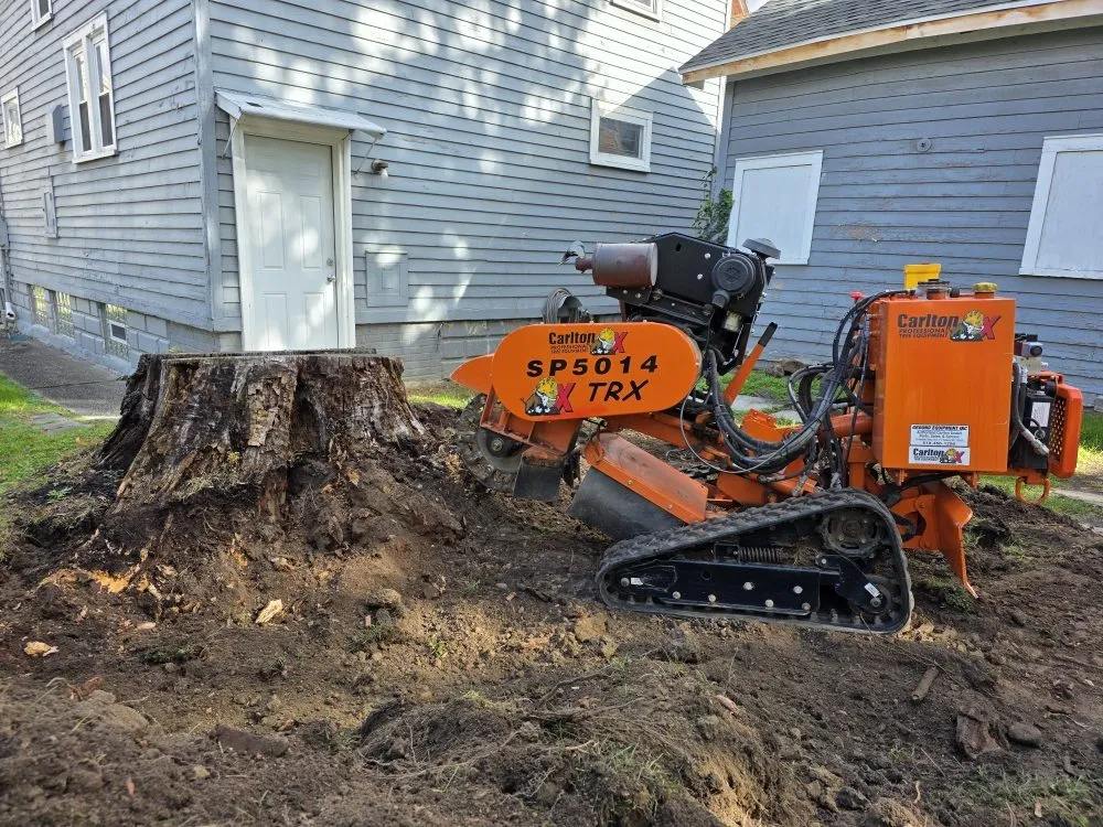 Reliable yard maintenance for beautiful yards across Churchville, NY - Fisher Fixes It