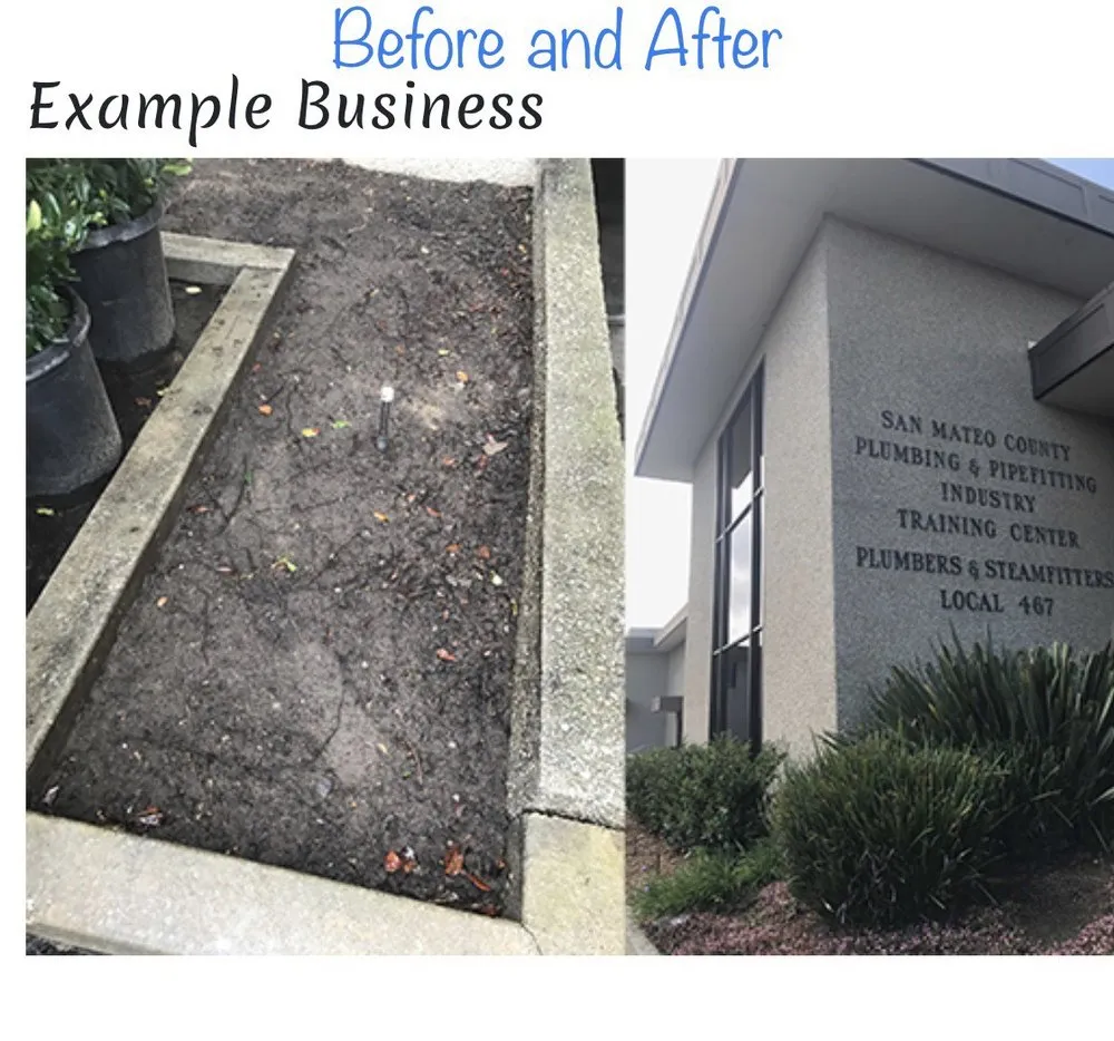 Professional outdoor landscaping for residential properties in Salinas, CA by Fisher Garden & Landscape Services