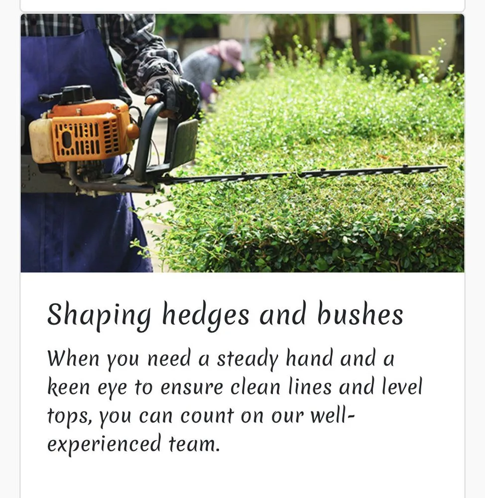 Custom residential landscaping in San Mateo, CA - Fisher Garden & Landscape Services