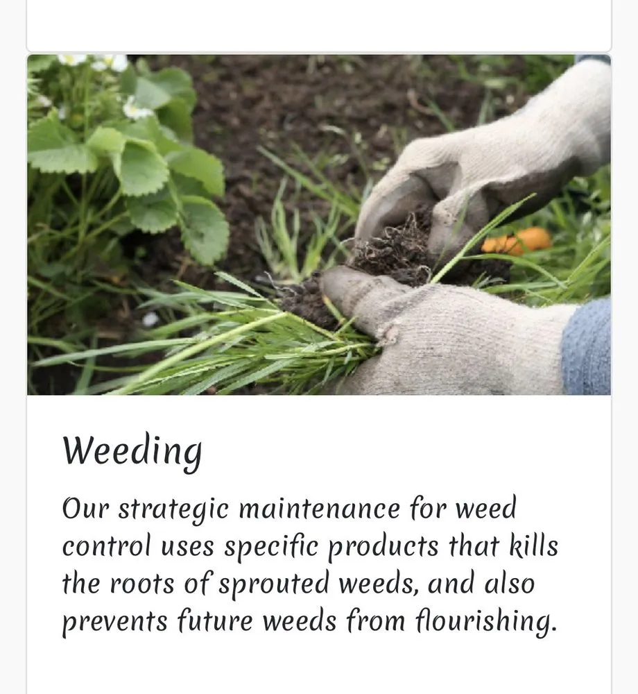 Expert outdoor landscaping experts serving San Mateo, CA - Fisher Garden & Landscape Services