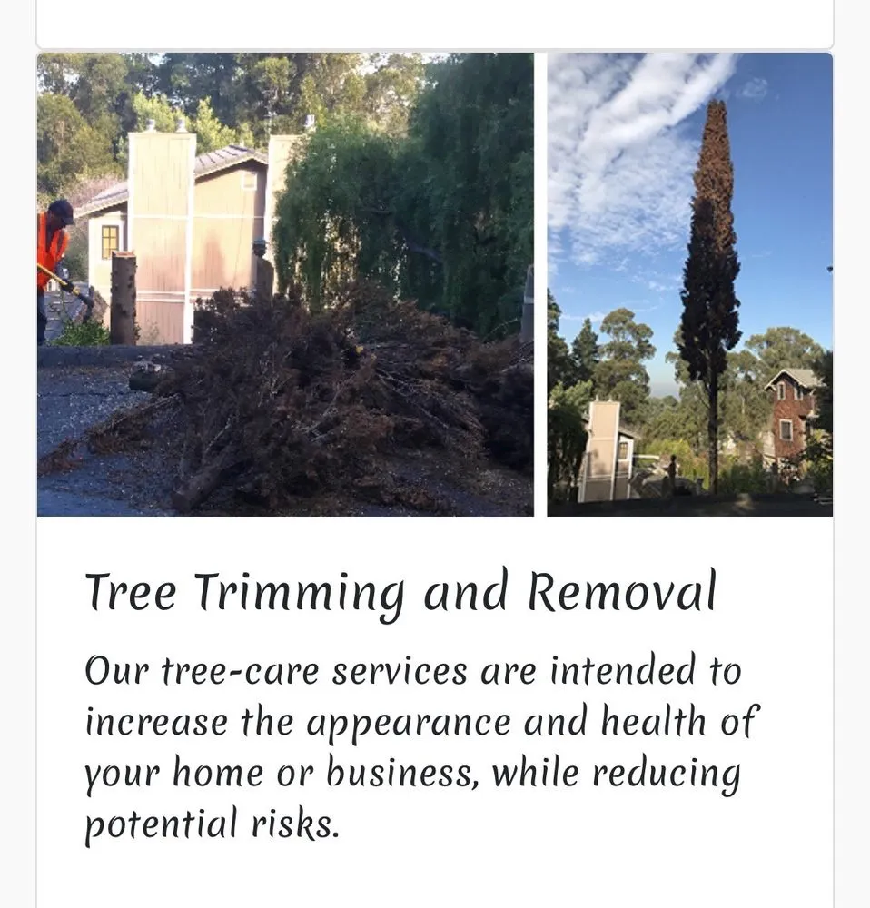 Local outdoor landscaping experts serving San Mateo, CA - Fisher Garden & Landscape Services