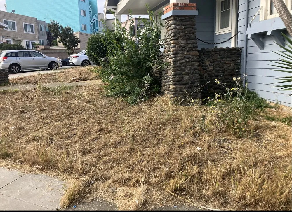 Professional yard cleanup service in San Mateo, CA by Fisher Garden & Landscape Services