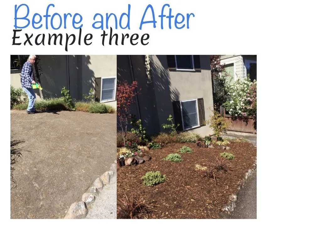 Professional yard cleanup service for year-round maintenance across San Mateo, CA - Fisher Garden & Landscape Services