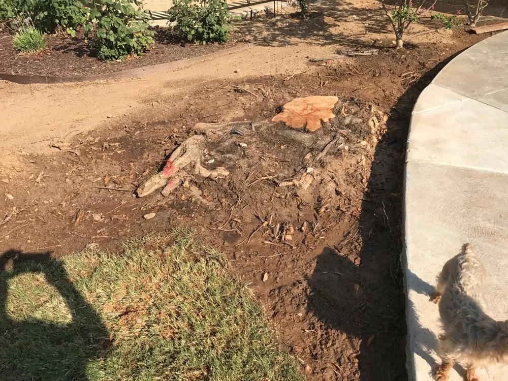 Trusted outdoor landscaping in Clovis, CA - Fisher Landscape Company