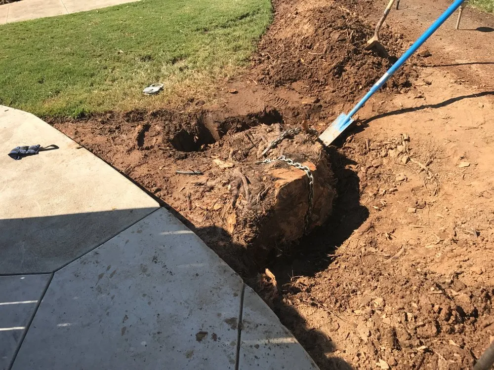 Affordable yard cleanup service for beautiful yards in Clovis, CA by Fisher Landscape Company