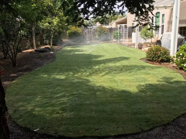 Reliable yard maintenance for year-round maintenance in Clovis, CA by Fisher Landscape Company