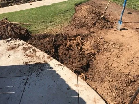 Expert garden landscaping in Clovis, CA by Fisher Landscape Company