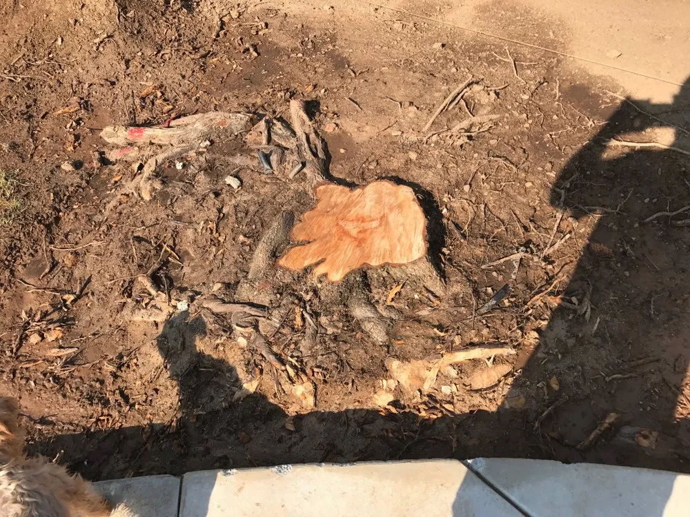 Trusted landscaping services in Clovis, CA - Fisher Landscape Company