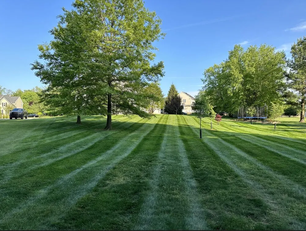 Affordable yard maintenance in Aston, PA by Fisher Landscape Contractors