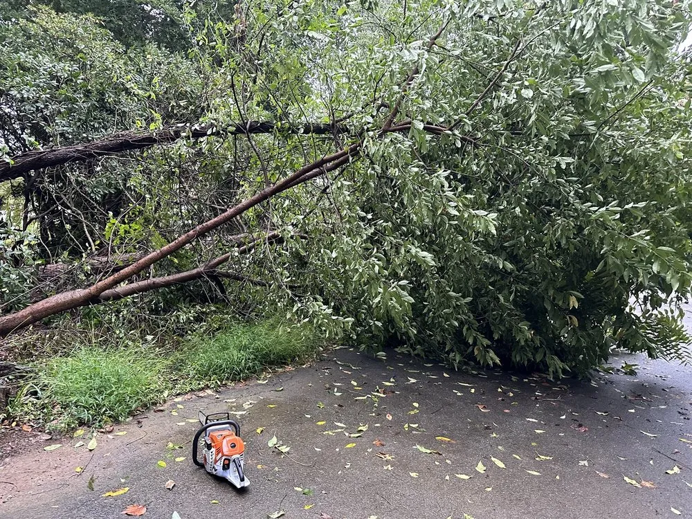 Professional residential landscaping experts serving Aston, PA - Fisher Landscape Contractors