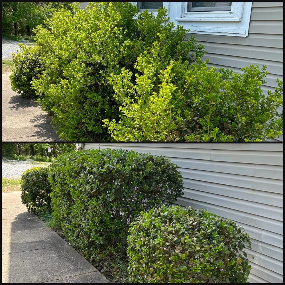 Local residential landscaping in Clarksville, TN - Fisher Lawn Care