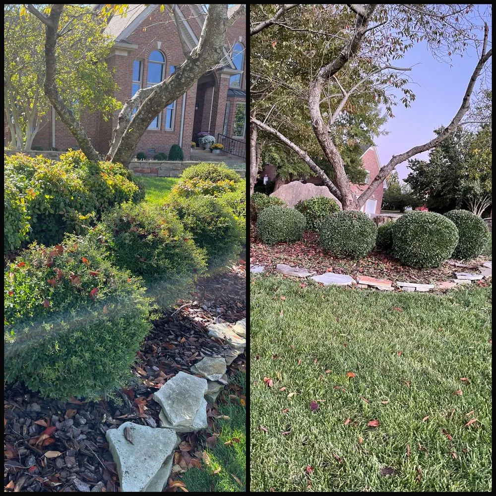 Top-rated yard maintenance in Clarksville, TN - Fisher Lawn Care