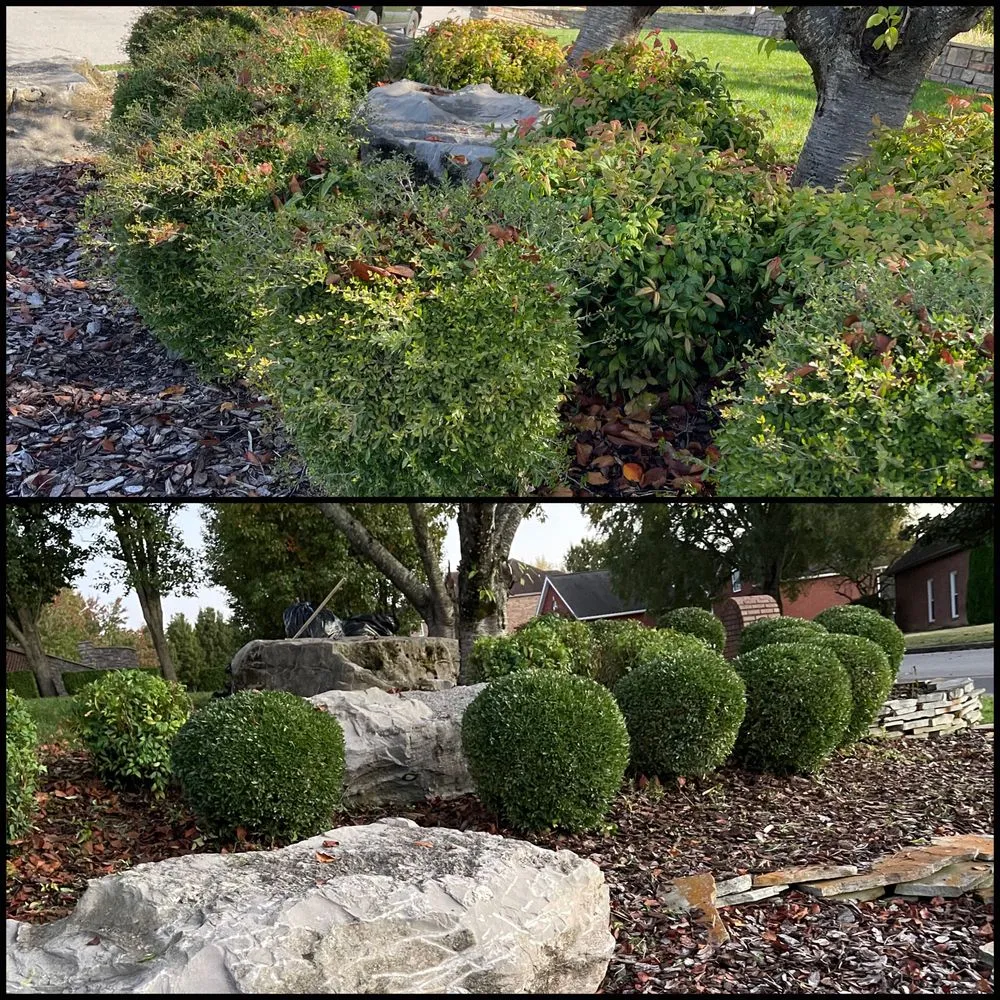 Professional garden landscaping for beautiful yards in Clarksville, TN by Fisher Lawn Care