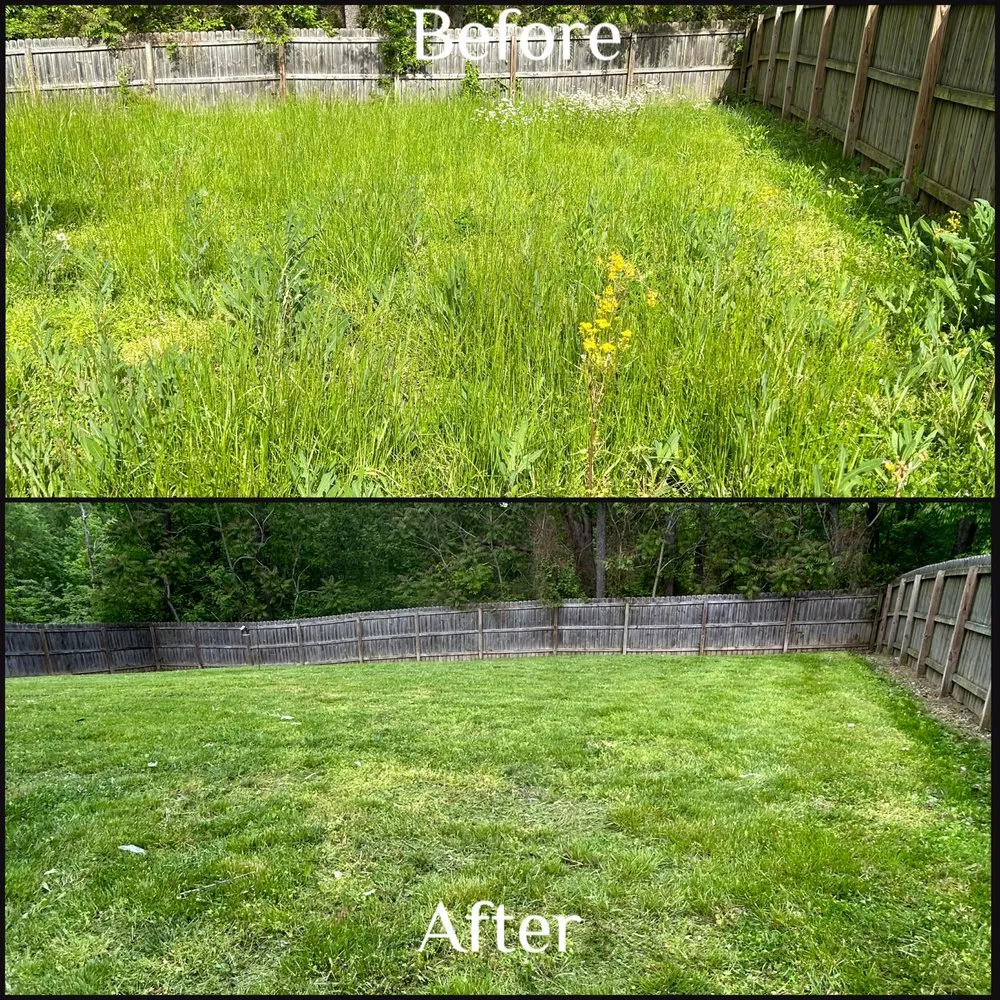 Reliable yard maintenance for residential properties in Clarksville, TN by Fisher Lawn Care