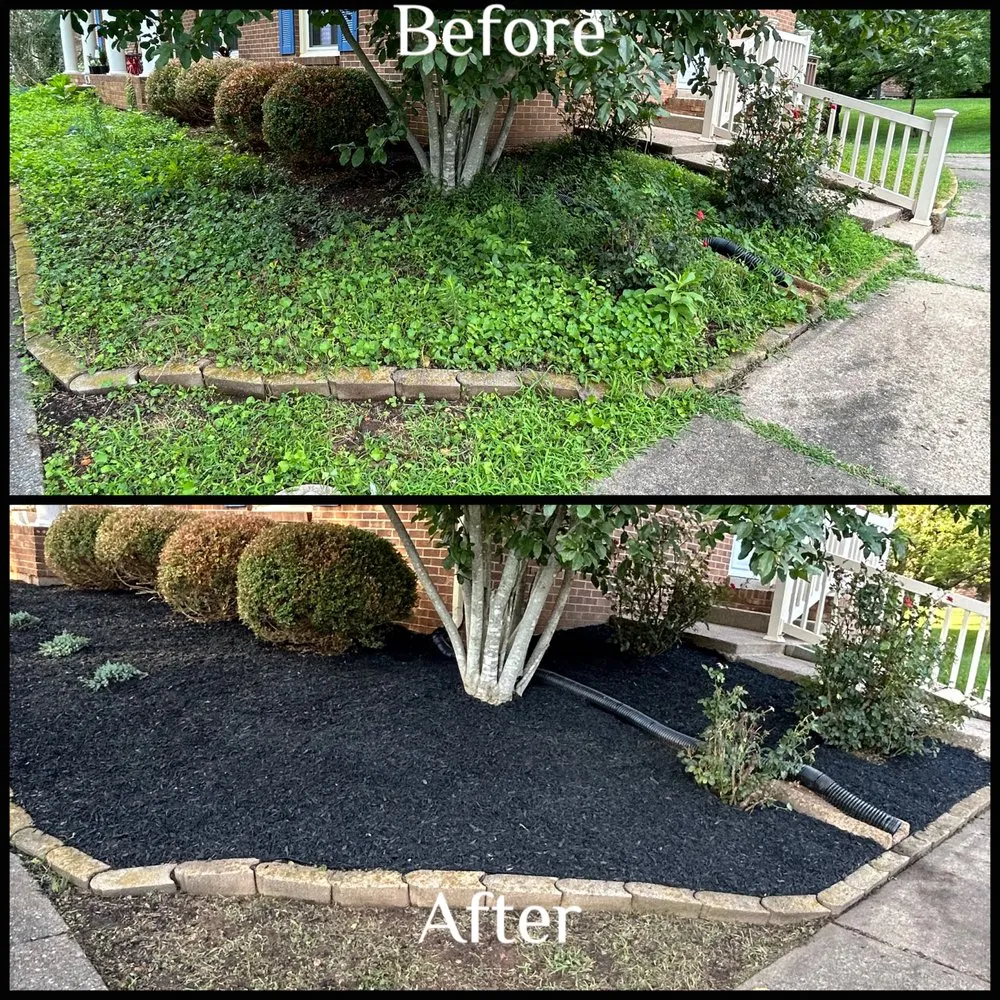 Affordable landscaping services experts serving Clarksville, TN - Fisher Lawn Care