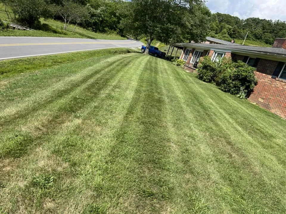 Affordable yard cleanup service for year-round maintenance across Marshall, NC - Fisher Lawn Services