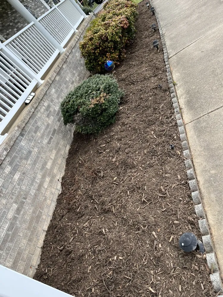 Top-rated yard cleanup service in Marshall, NC by Fisher Lawn Services