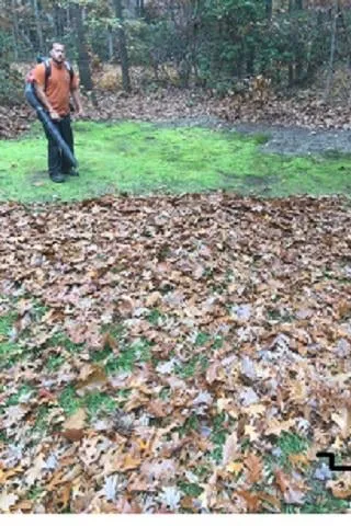 Local yard maintenance experts serving Bridgeport, NJ - Fisher Property Maintenance