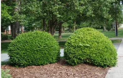 Professional landscaping services for outdoor upgrades across Newport, NC - Fisher Way Lawn Care