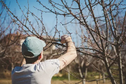 Local lawn mowing service in Newport, NC - Fisher Way Lawn Care