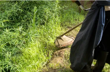 Custom landscape installation in Newport, NC by Fisher Way Lawn Care