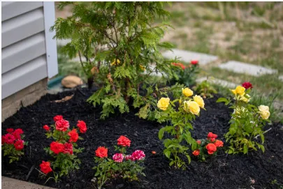 Affordable landscaping services experts serving Newport, NC - Fisher Way Lawn Care