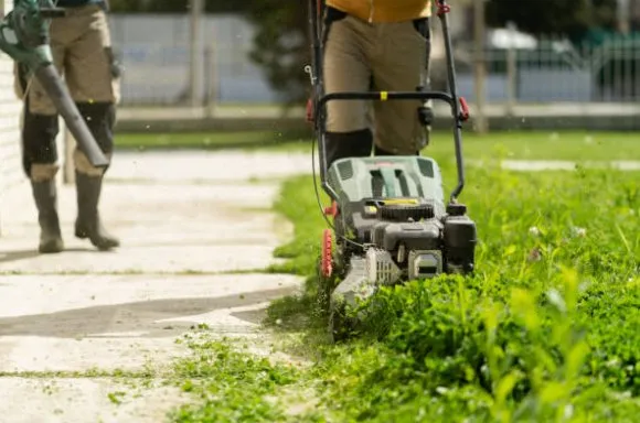 Top-rated lawn care service experts serving Newport, NC - Fisher Way Lawn Care