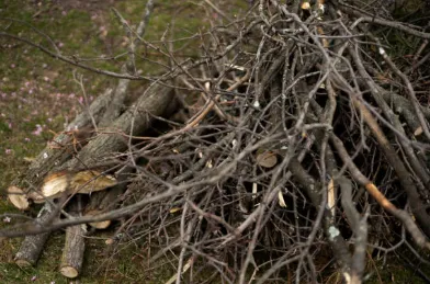 Professional lawn mowing service in Newport, NC - Fisher Way Lawn Care