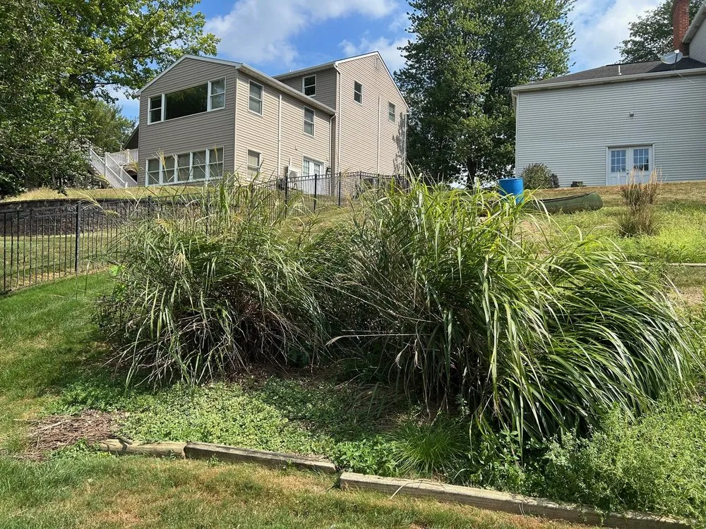 Custom residential landscaping experts serving Mechanicsburg, PA - Fisher’s Dynamic Lawns