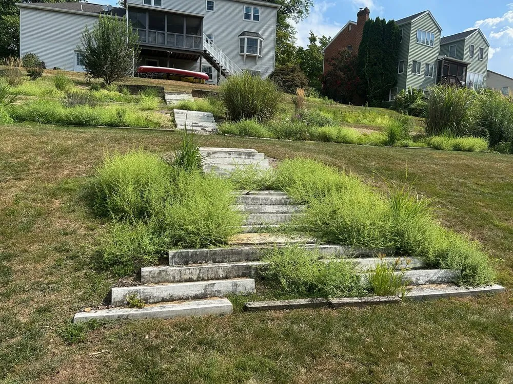 Local landscaping services for beautiful yards across Mechanicsburg, PA - Fisher’s Dynamic Lawns