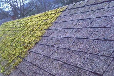 Reliable lawn mowing service for homes across Dayton, OH - Fisher’s Landscaping and Snow Removal