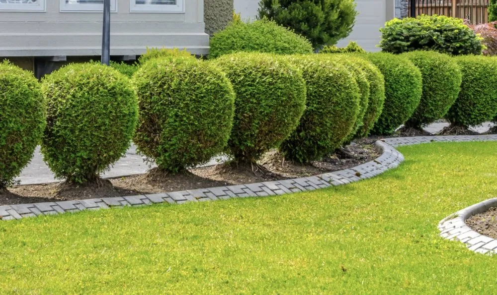 Affordable outdoor landscaping near you across Gaston, SC - Fisher's Lawn & Walls