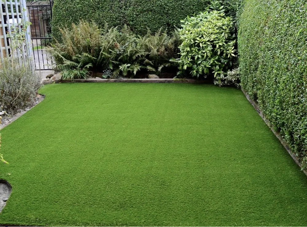 Expert yard cleanup service experts serving Gaston, SC - Fisher's Lawn & Walls