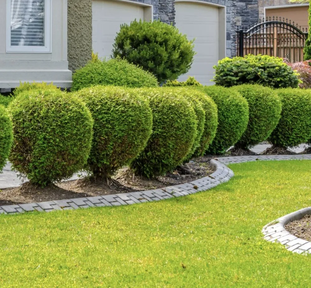 Trusted outdoor landscaping experts serving Gaston, SC - Fisher's Lawn & Walls