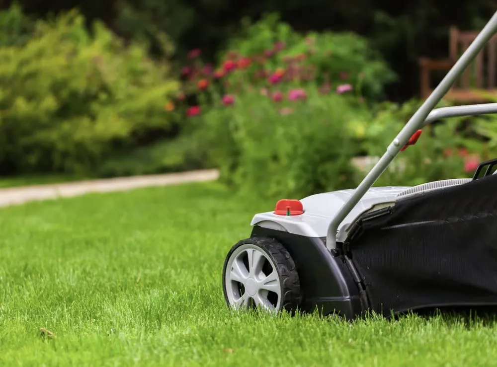 Top-rated lawn care service in Gaston, SC by Fisher's Lawn & Walls