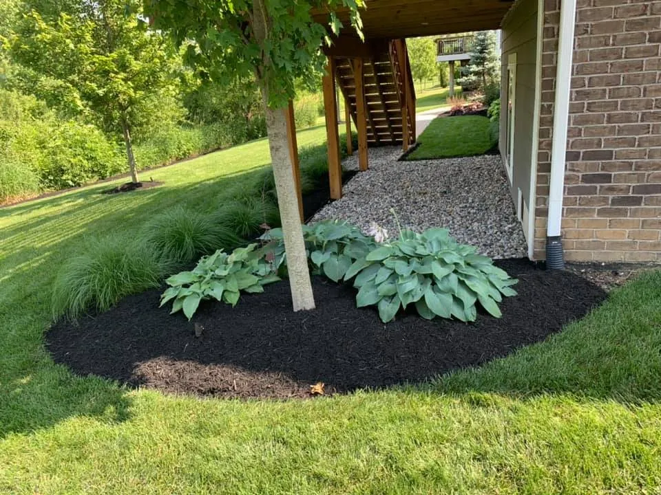 Local yard cleanup service in Fishers, IN - Fishers Mulch