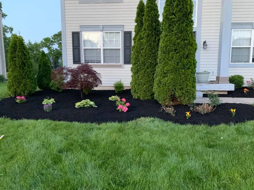 Affordable landscape design in Fishers, IN - Fishers Mulch