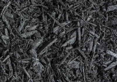 Expert yard cleanup service in Fishers, IN by Fishers Mulch