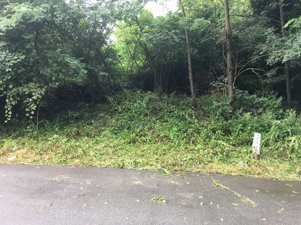 Expert landscape installation in Cincinnati, OH - Fishers Of Men Advanced Services