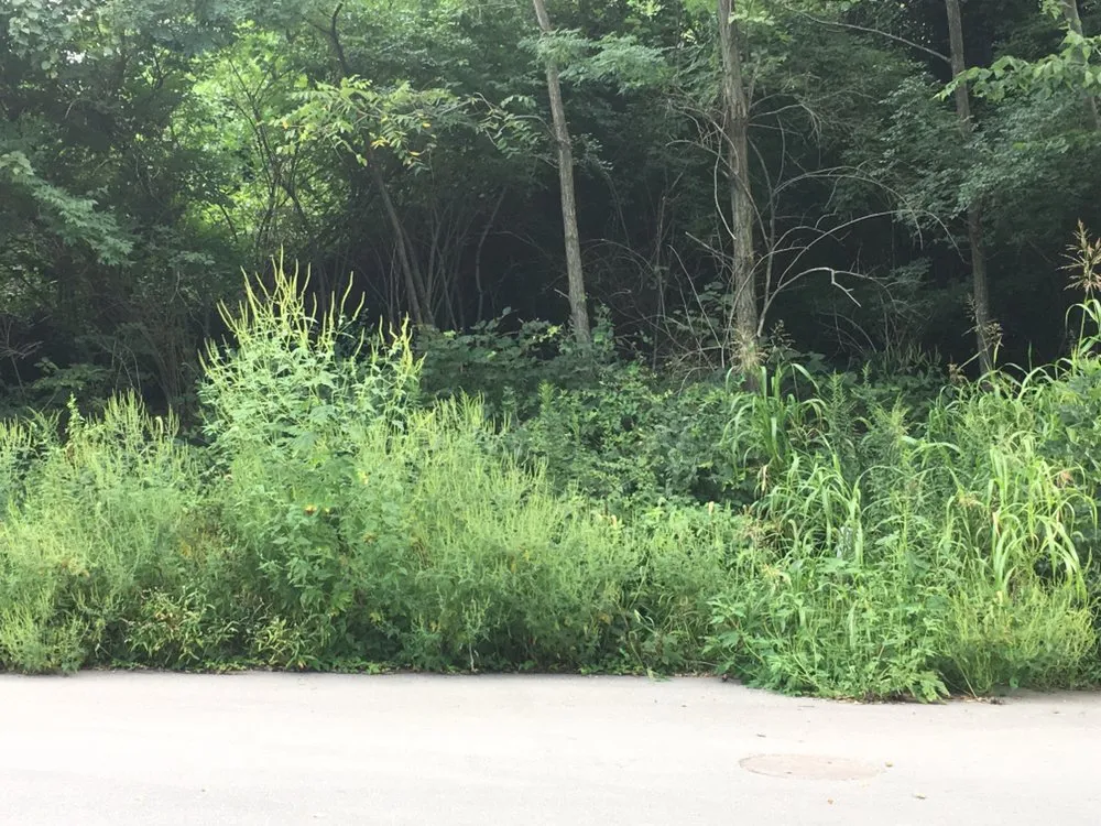 Custom residential landscaping in Cincinnati, OH by Fishers Of Men Advanced Services