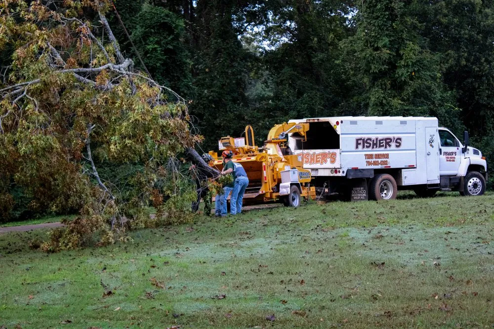 Reliable landscape design in Shelby, NC by Fisher's Tree Service