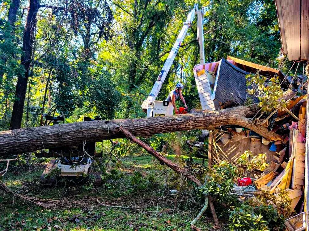 Local garden landscaping with custom design in Shelby, NC by Fisher's Tree Service