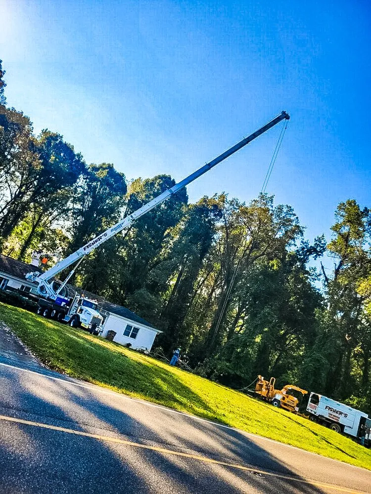 Professional landscape design in Shelby, NC - Fisher's Tree Service