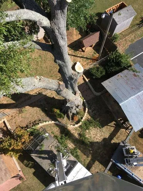 Expert yard maintenance in Shelby, NC - Fisher's Tree Service