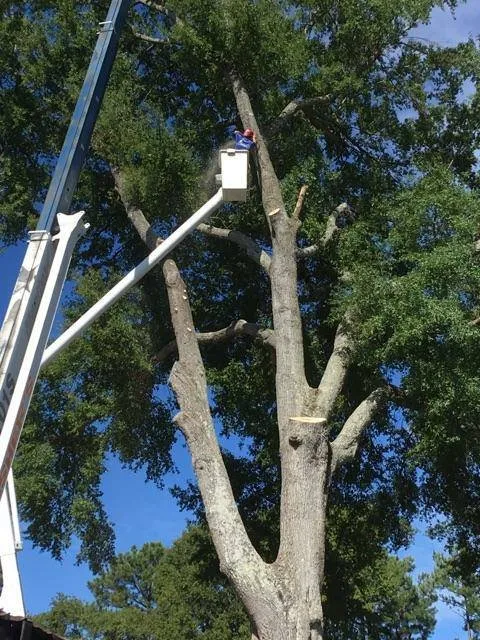 Local residential landscaping with custom design in Shelby, NC by Fisher's Tree Service