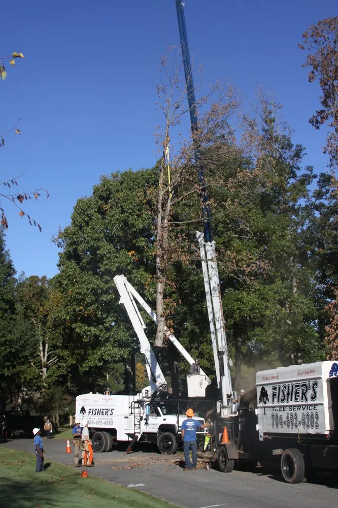 Affordable landscaping services for residential properties in Shelby, NC by Fisher's Tree Service