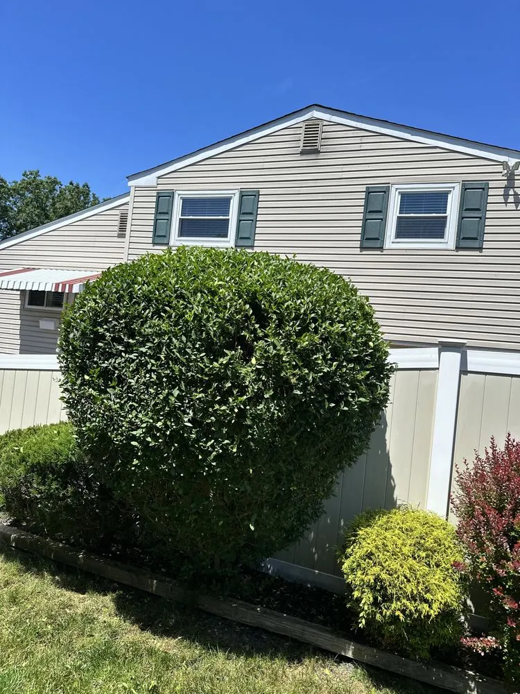 Custom residential landscaping in Cherry Hill, NJ by Fishgold Landscaping