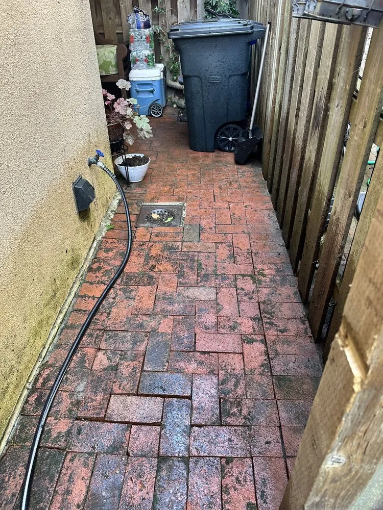 Top-rated yard maintenance in Cherry Hill, NJ - Fishgold Landscaping