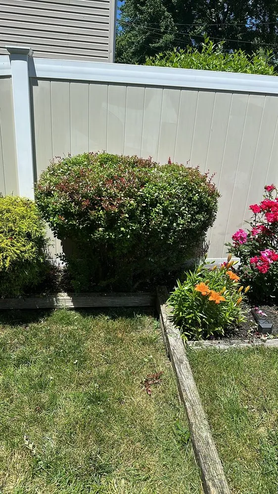 Professional landscape installation in Cherry Hill, NJ - Fishgold Landscaping